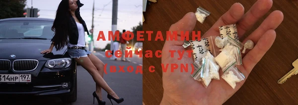 прущие грибы Тында