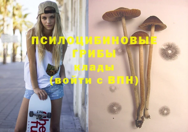 марки lsd Бородино