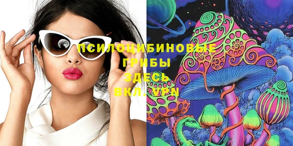 хмурый Верхний Тагил
