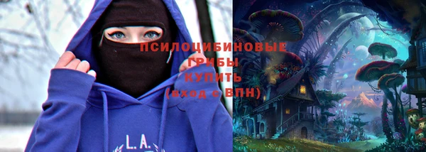 мдпв Богородск